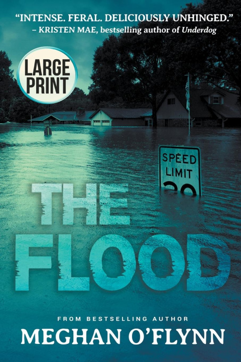 Knjiga Flood Meghan O'Flynn