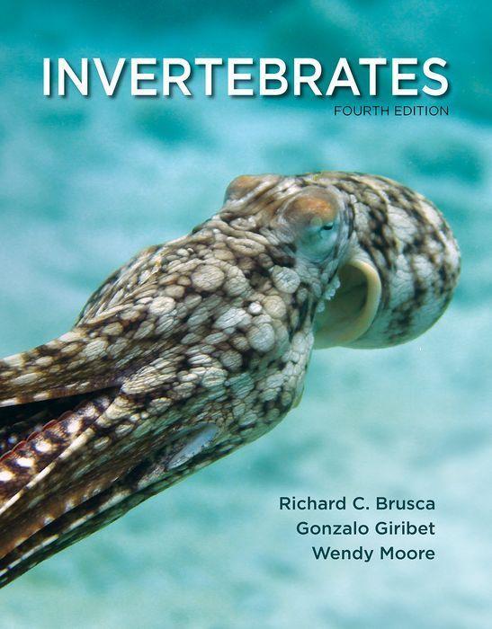 Carte Invertebrates 