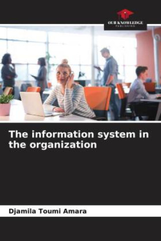 Kniha The information system in the organization 