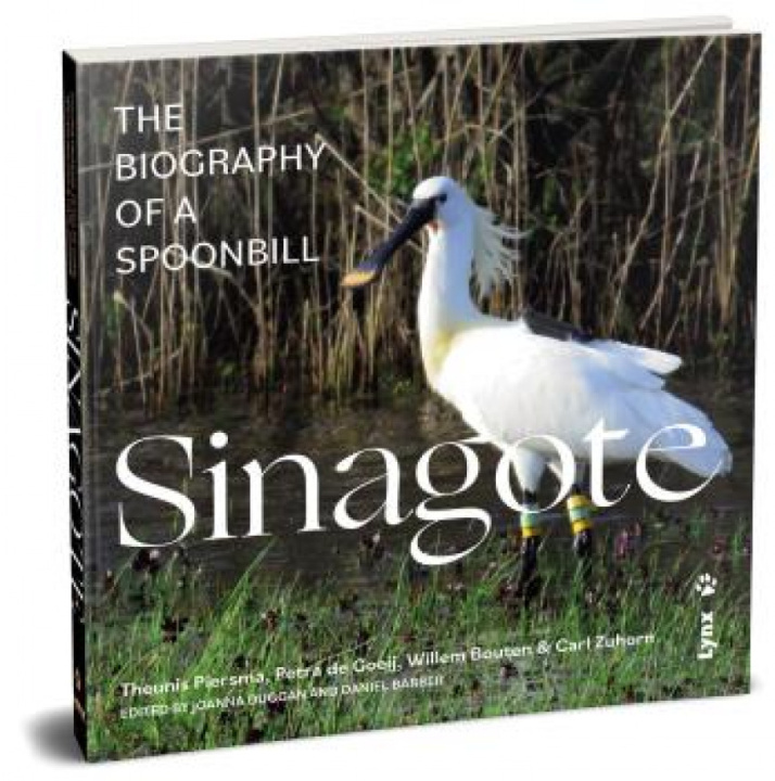 Book SINAGOTE - INGLES THEUNIS PIERSMA