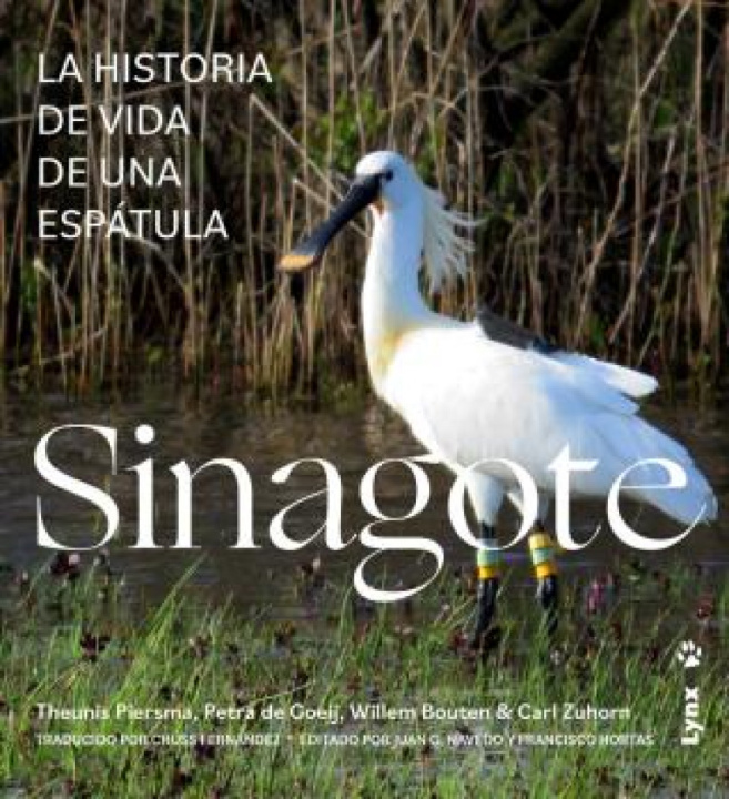 Boek SINAGOTE THEUNIS PIERSMA