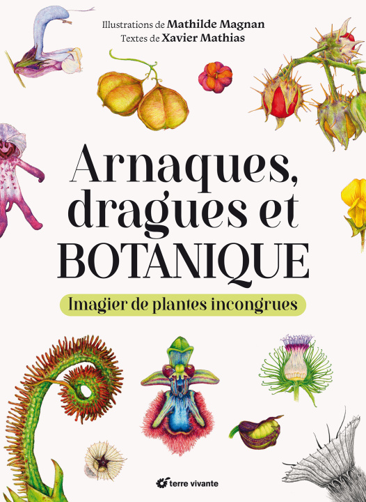 Kniha Arnaques, dragues et botanique Mathias