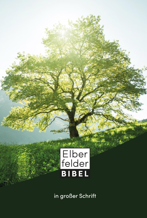 Kniha Elberfelder Bibel in großer Schrift 