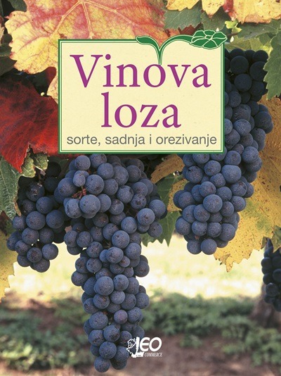 Buch Vinova loza Edi