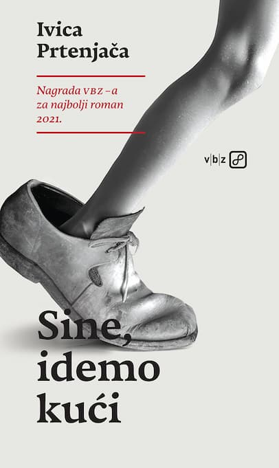Knjiga Sine, idemo kući Ivica Prtenjača