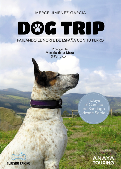 Kniha Dog trip - Pateando el norte de España con tu perro MERCE JIMENEZ GARCIA