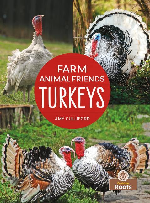 Knjiga Turkeys 