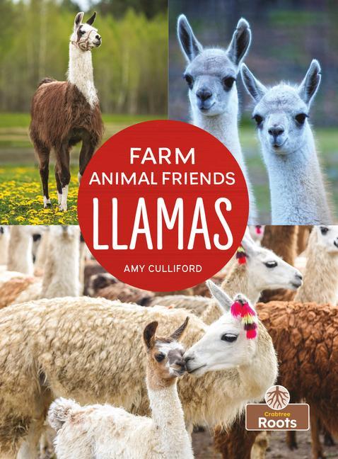 Knjiga Llamas 