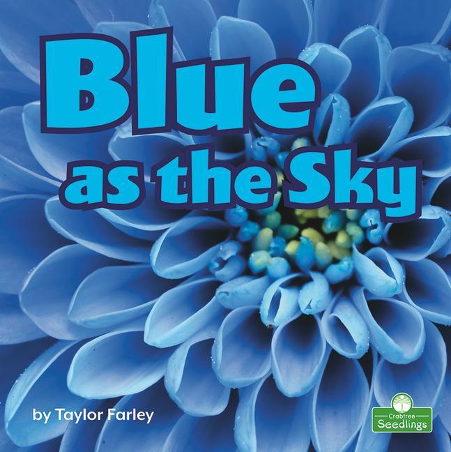 Książka Blue as the Sky 