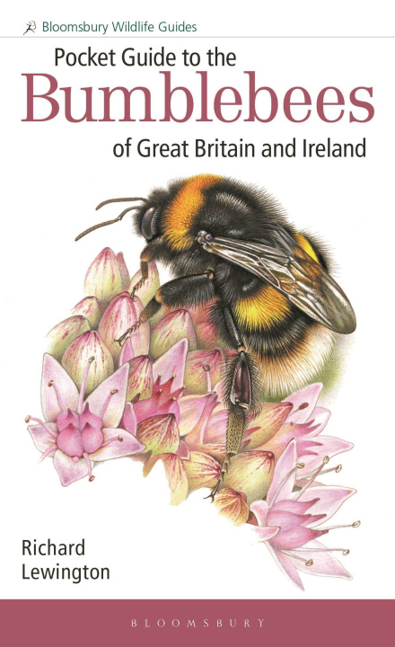 Carte Pocket Guide to the Bumblebees of Great Britain and Ireland 