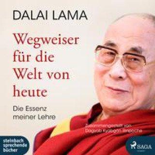 Audio Wegweiser für die Welt von heute, 2 Audio-CD, MP3 Lama Dalai