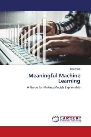 Knjiga Meaningful Machine Learning Binit Patel
