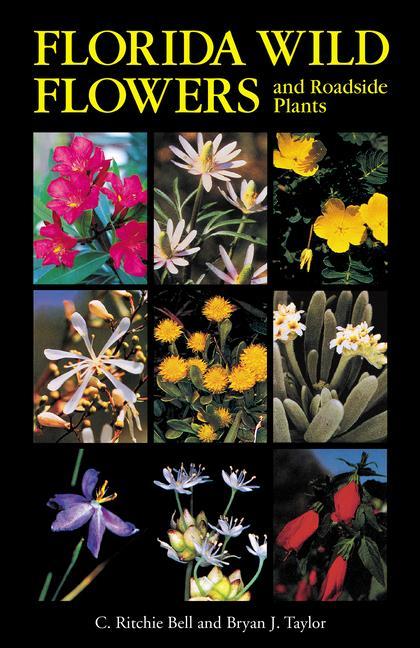 Книга Florida Wild Flowers and Roadside Plants Bryan J. Taylor