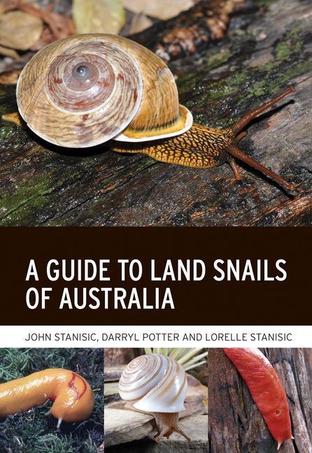 Kniha Guide to Land Snails of Australia Darryl Potter