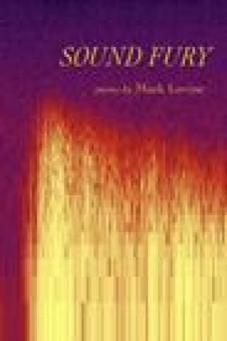 Kniha Sound Fury Mark Levine