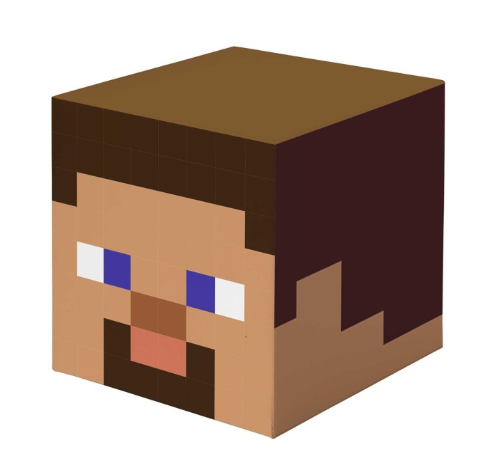 Kniha Minecraft: Steve Block Stationery Set 