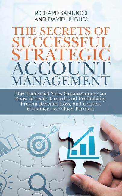 Kniha Secrets of Successful Strategic Account Management David Hughes