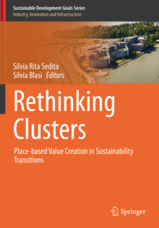 Knjiga Rethinking Clusters Silvia Rita Sedita