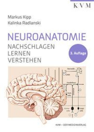 Kniha Neuroanatomie Kalinka Radlanski