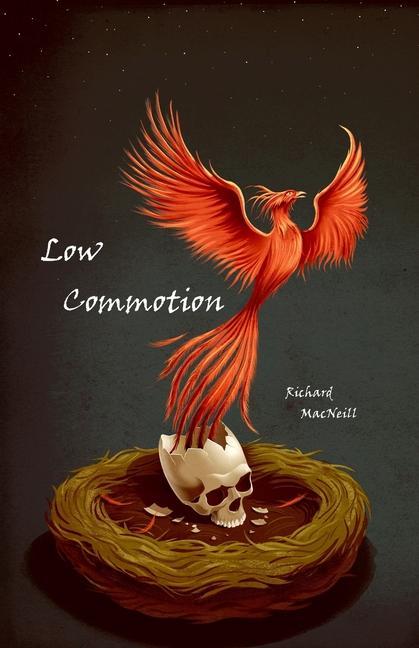 Kniha Low Commotion Marco Melgrati