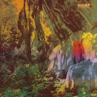Audio Thought Form Descent Wake
