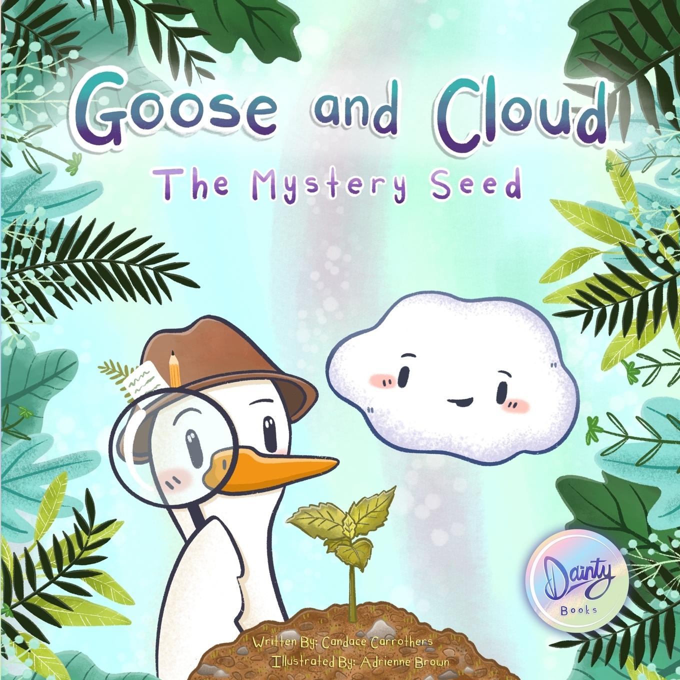 Book Goose and Cloud Candace Carrothers