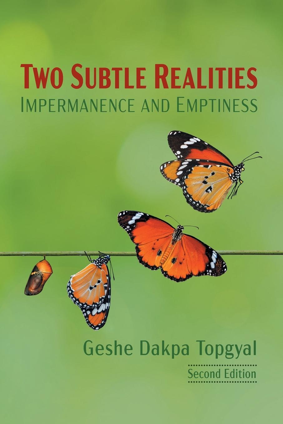 Knjiga Two Subtle Realities Dakpa Topgyal