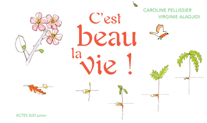 Buch C'est beau la vie ! Pellissier
