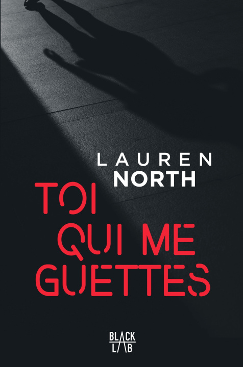 Kniha Toi qui me guettes Lauren North