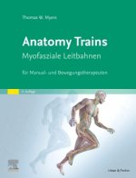 Könyv Anatomy Trains Wiebke Kathmann