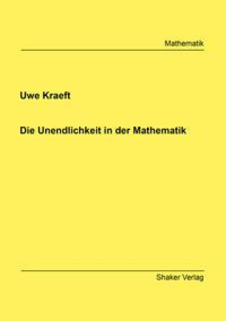 Kniha Die Unendlichkeit in der Mathematik 