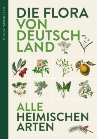 Книга Die Flora von Deutschland. Alle heimischen Arten. 