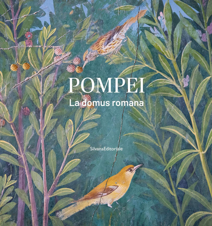 Книга Pompei. La domus romana 