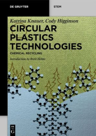 Könyv Circular Plastics Technologies 