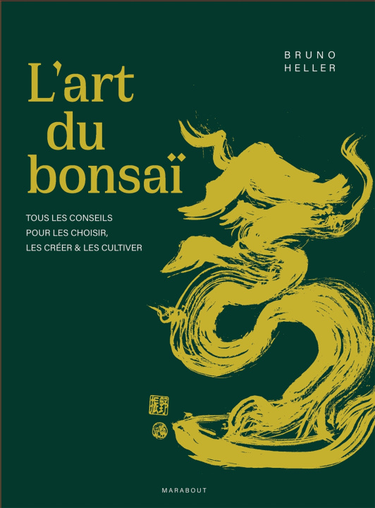 Kniha Guide pratique du Bonsaï Bruno Heller