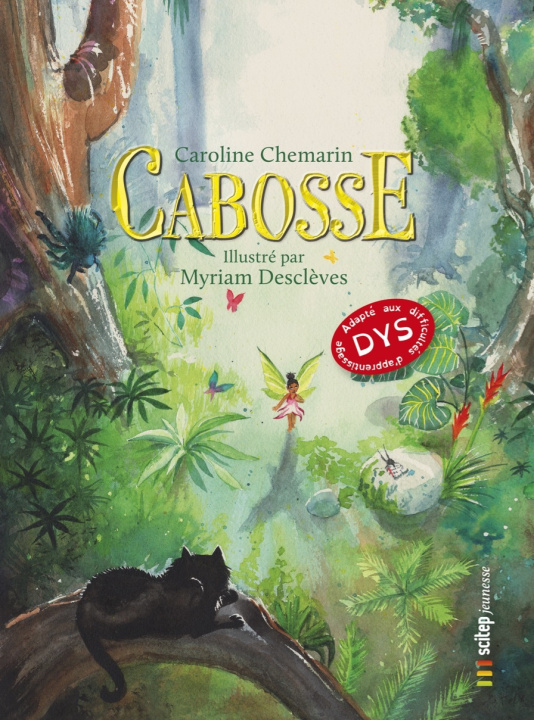 Book Version DYS – Cabosse Chemarin