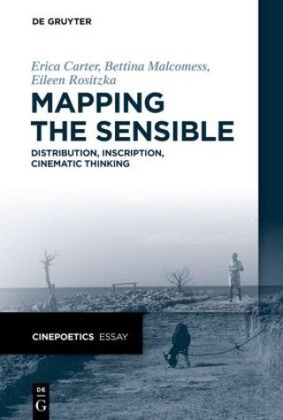 Knjiga Mapping the Sensible Erica Carter
