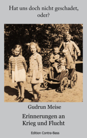 Knjiga Hat uns doch nicht geschadet,oder? Gudrun Meise
