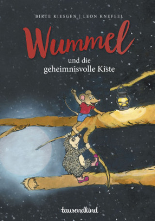 Kniha Wummel und die geheimnisvolle Kiste Birte Kiesgen