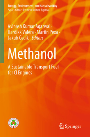 Könyv Methanol Avinash Kumar Agarwal