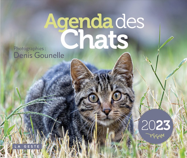 Kniha Agenda des chats 2023 GOUNELLE