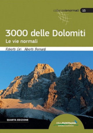 Kniha 3000 delle Dolomiti. Le vie normali Roberto Ciri
