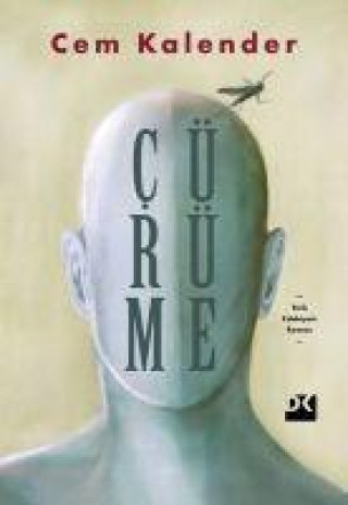 Knjiga Cürüme 