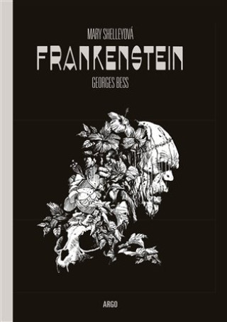 Buch Frankenstein Mary Shelleyová