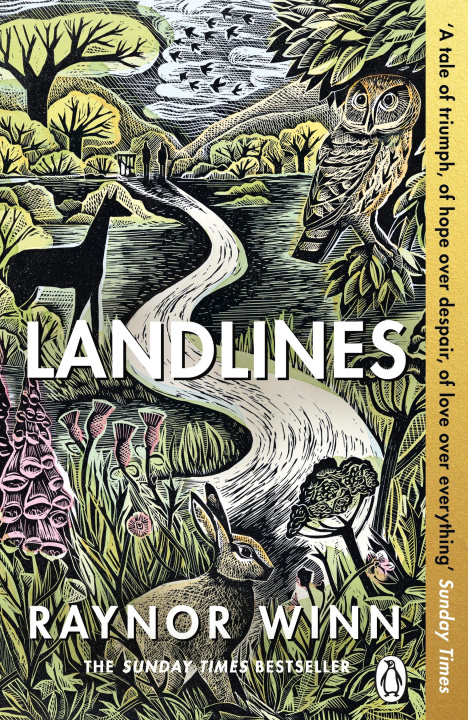 Kniha Landlines 