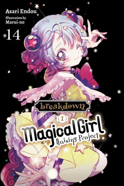 Carte Magical Girl Raising Project, Vol. 14 (light novel) 