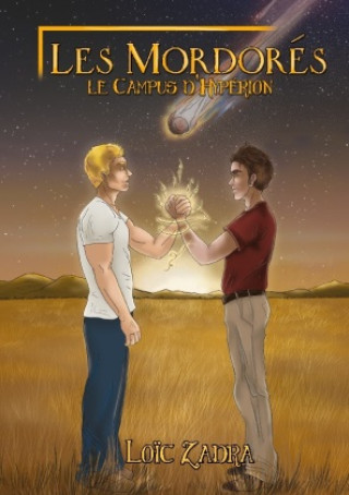 Knjiga Les Mordores Books On Demand