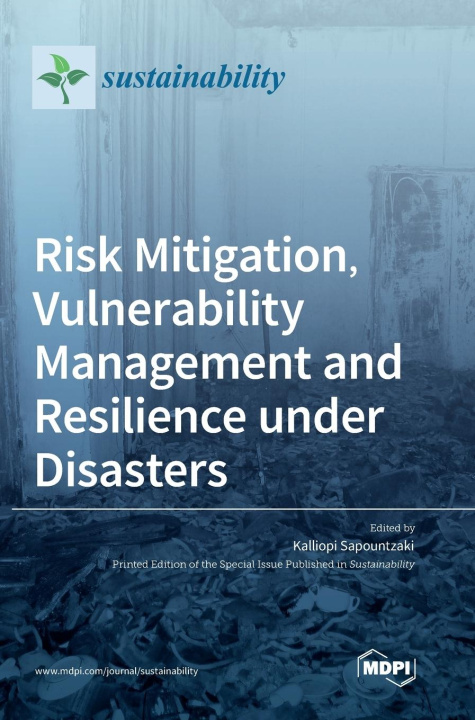 Buch Risk Mitigation, Vulnerability Management and Resilience under Disasters 