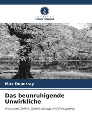 Boek Das beunruhigende Unwirkliche Max Duperray