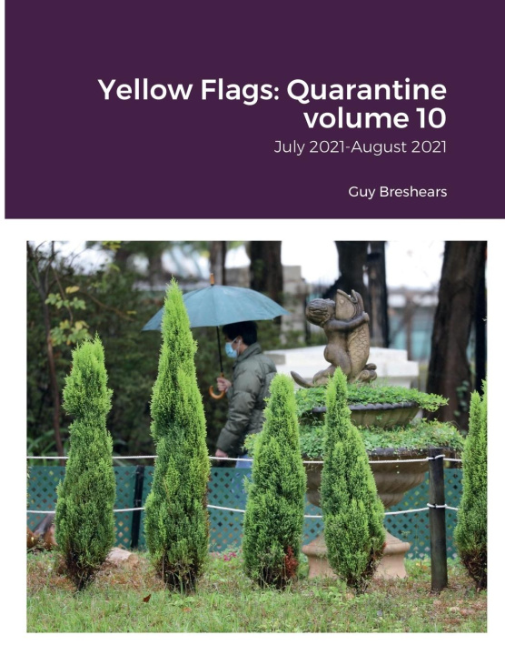 Knjiga Yellow Flags Guy Breshears